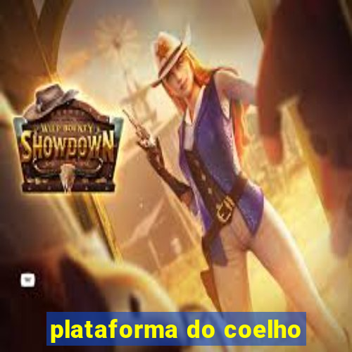 plataforma do coelho