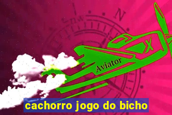 cachorro jogo do bicho