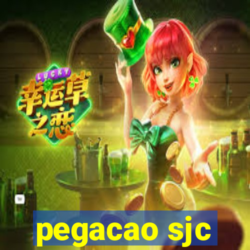 pegacao sjc