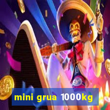 mini grua 1000kg