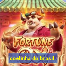 coelinha do brasil