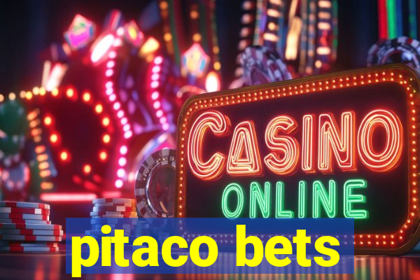 pitaco bets