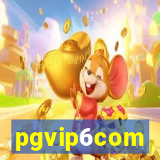 pgvip6com