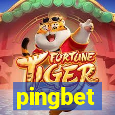 pingbet