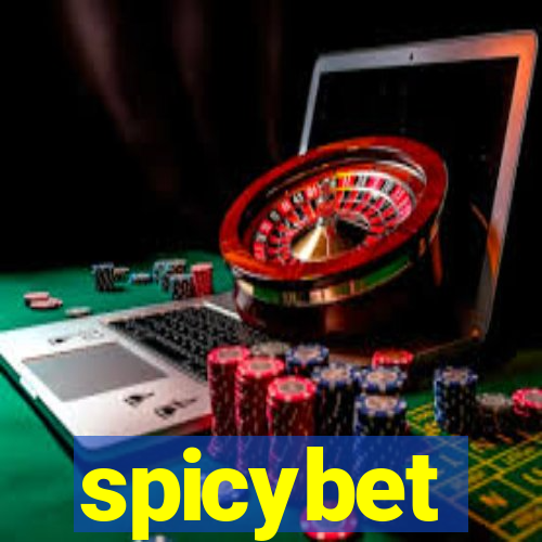 spicybet-2.com